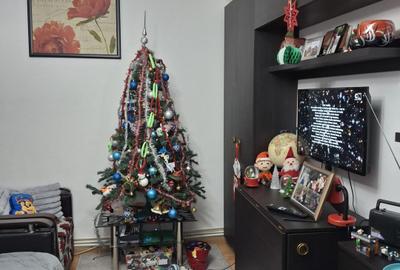 Apartament 2 camere Pacurari - 1