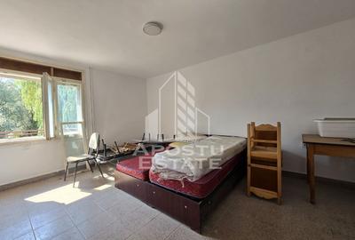 Casa de vanzare, potential pensiune, pe malul Timisului,Sag,comision 0 - 11