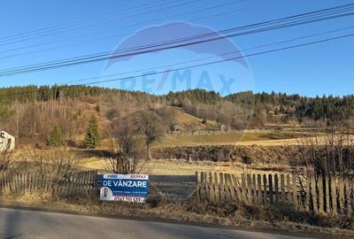 Teren de vanzare  Vatra Moldovitei BUCOVINA - 6