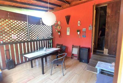 Casa de vacanta (Pensiune) in Lepsa - 18