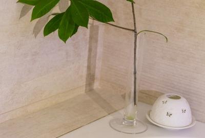 Apartament de lux Pipera - Curte si loc de Parcare - Bloc tip boutique - 15