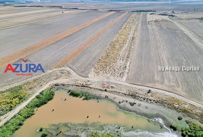 Teren agricol, 5HA, comasat, drum acces, Cateasca - 8