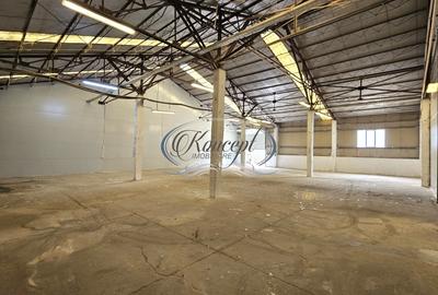 Hale 200-400-1.000 mp, productie, depozitare, logistica - 9