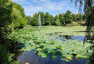 2 camere vedere Parcul Circului - parter | Lacul Tei-Barbu Vacarescu - 11