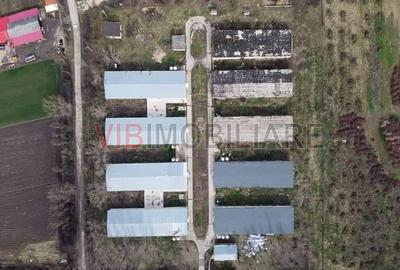 *Proprietate industrială | Fermă avicolă | Teren 35.000 mp | Hale și utilități e - 1