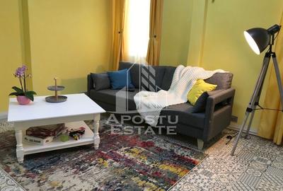 Apartament ultracentral, complet renovat in Timisoara - 8