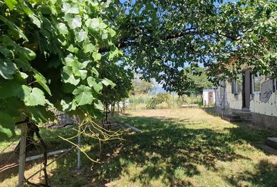 Casa traditionala, cu 2.000mp teren roditor, Izvoarele, Prahova - 9