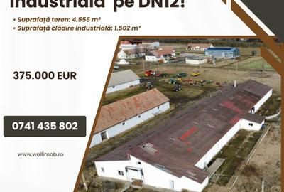 Spațiu industrial, 1502 mp în Dalnic