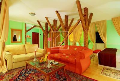 Hotel de inchiriat Piata Mica Sibiu | Afacere turistica activa - 15