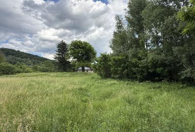 Teren plat-intravilan -3800 mp, cu pădurice și ieșire la râu! - 2