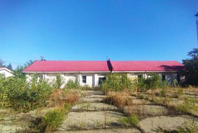 OCAZIE Complex industrial 4 hale producție + depozitare, 17.000 mp, des 180mp - 11