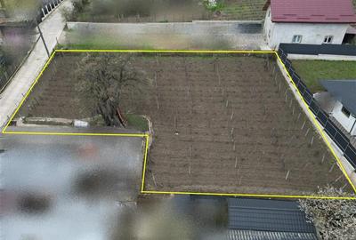 Teren intravilan 842 mp , asfalt , toate utilitatile - Valea Lupului , Iasi - 3
