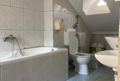 Floreasca Vila D+P+E 8 camere 300 mp - 15