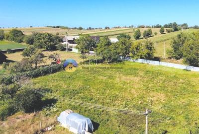 TEREN intravilan 3260 mp  ROZNOV – CHINTINICI - 2