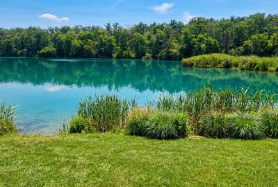 TEREN 1 880 MP IN BRANESTI | PADURE LAC | STR. SOARELUI - 3