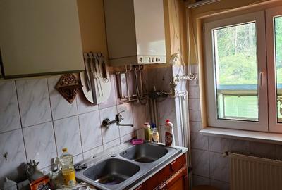 Apartament 3 camere de vanzare in Busteni, cartier Silva - comision 0% - 8