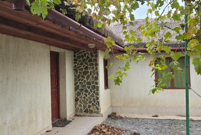 Exclusivitate-Vadu, zona centrala, casa 75mp, teren 1917 mp/31ml deschidere - 18