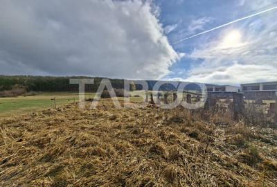 Teren intravilan de vanzare in Rasinari zona Calinis - 890 mp - 6