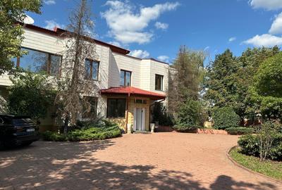 Casă individuală cu 10 camere în Iancu Nicolae