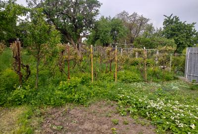 Loc de casa zona ANL Dobosari