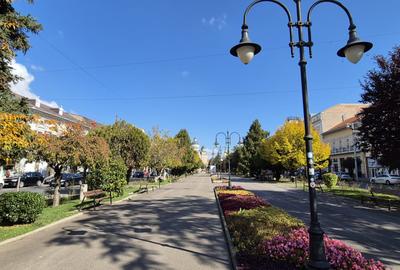 Imobil ultracentral-investitie garantată - 1