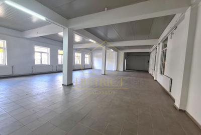 Clădire de birouri cu hala industriala si teren 1464mp | Mehala - 2