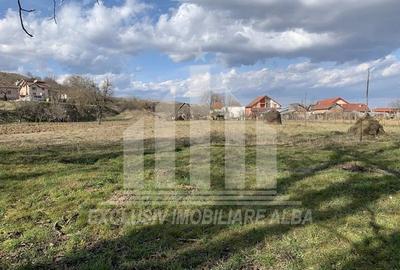 Teren intravilan | 2200mp | 17ml deschidere |Toate utilitile | Paclisa - 3