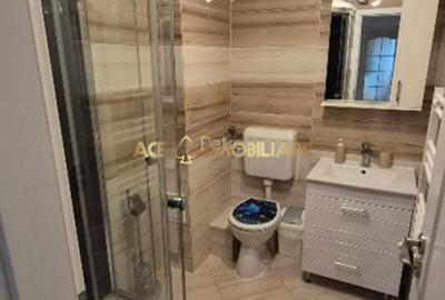 4 Camere de inchiriat | Tei | Centrala | Parcare | 3x AC | 2x Bai - 10