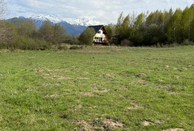 Teren intravilan 500 mp sau 1000 mp în Bran –Tohanita cu parau langa - 9