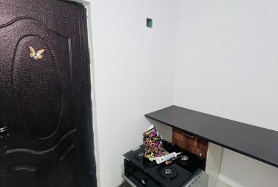 Garsoniera, 21 mp utili, renovata, etaj 4, zona Sagului - Shopping City - 4
