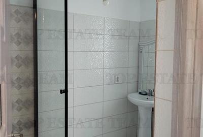 Vila individuala cu 5 camere,  2 terase, 4 locuri de parcare,350mp teren imprejm - 14