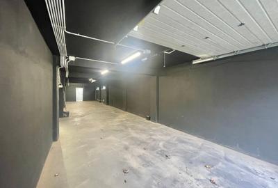 Spațiu industrial  – Zona Victoriei – Str. Teodosie Rudeanu nr. 41, - 9