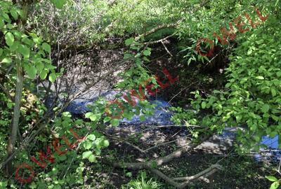 De vânzare teren intravilan de 30 000 m² (3 ha) în Reghin - 9