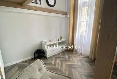 Apartament 60 Euro pe zi, amenajat in stil unic langa Primaria Arad - 6