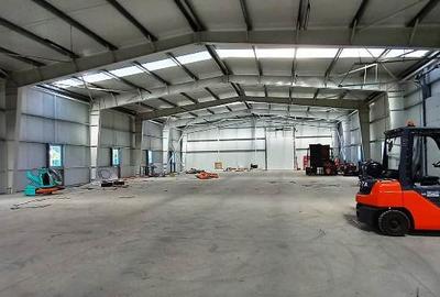 Magurele,hala 1000 mp,constructie noua ,ideal depozitare,productie - 1