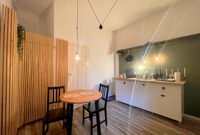 Apartament in Piata Unirii Timisoara - 11