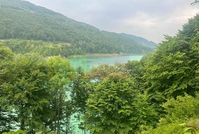 Teren cu deschidere la lac – Valea Doftanei, Prahova - 10