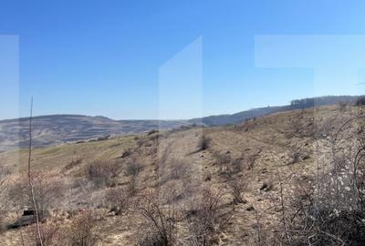 Teren agricol intravilan de 4100 mp, în Borhanci