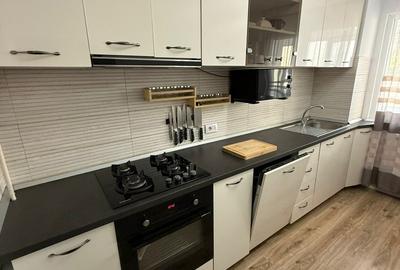 Apartament 3 camere cu terasa mare si vedere la parcul Tei - 9