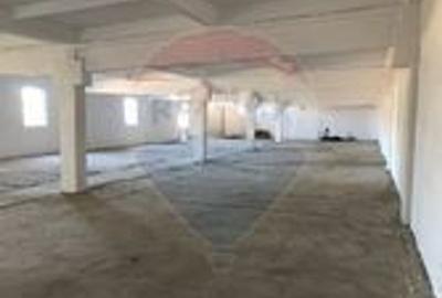 Spațiu industrial de 640mp de închiriat Aluniș Arad - 4