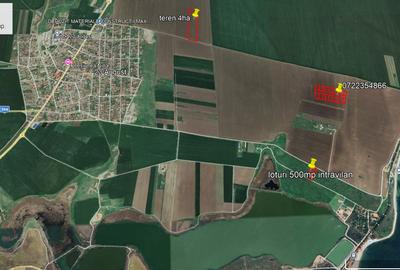 23August-teren extravilan loturi sup. 600mp front stradal 27m pt investitii - 4