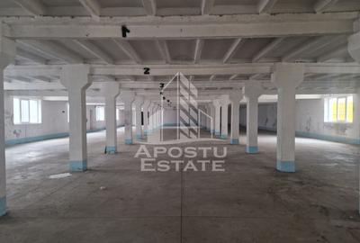 Hala depozitare,productie,birouri,2000mp, zona sud-vest - 1