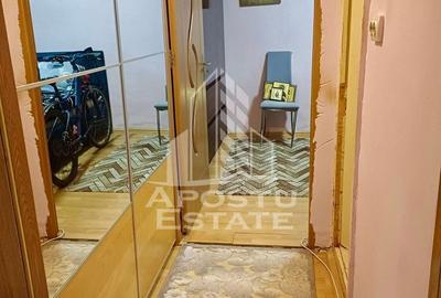 Apartament cu 2 camere, de vanzare, zona Dambovita, Timisoara - 4