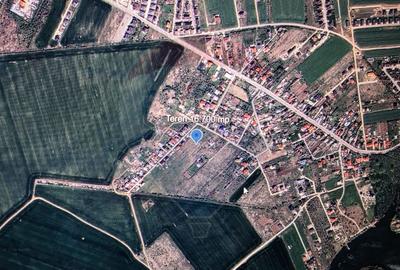 Teren  Balotesti Dumbraveni  16.700 mp /8350 mp /loturi 500 mp - 11