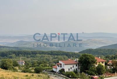 Teren intravilan 1500 mp, Salicea - 3