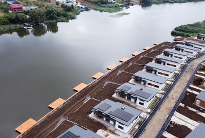 Green Future Snagov by The Lake