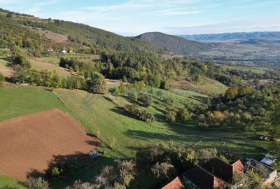 Teren intravilan de 1400 mp in Suncuius, de vanzare, Bihor - 8