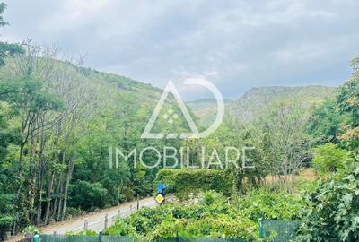 Afacere la cheie – Pensiune turistică în Comuna Runcu - 10