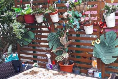 Vila P+1+M - Navodari - 210.000 euro (Cod E1) - 10