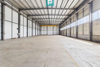 Hală industrială cu pod rulant de 3 tone în Arad - 11